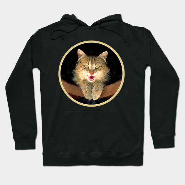 Mad Yellow Tabby Cat Hoodie by Alpen Designs